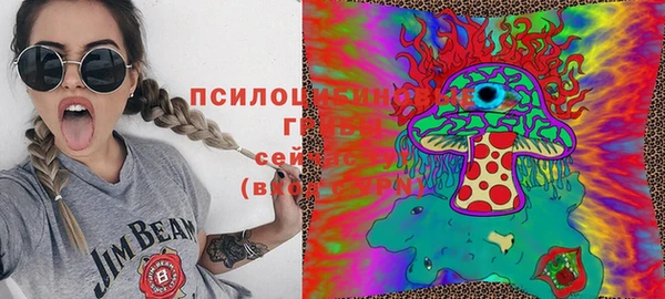 молекула духа Армянск