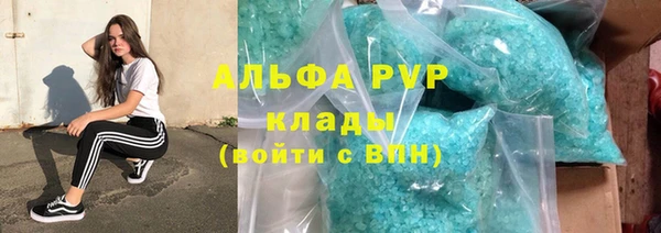 гидра Арсеньев