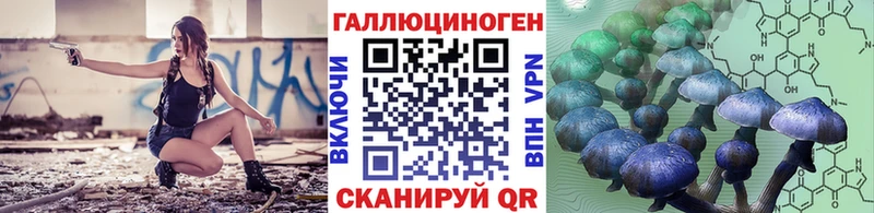 наркотики Среднеуральск Галлюциногенные грибы Psilocybe